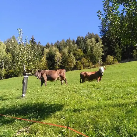 Stockhof 아파트 젤암질러