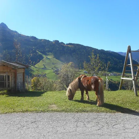 Stockhof * ツェル・アム・ツィラー